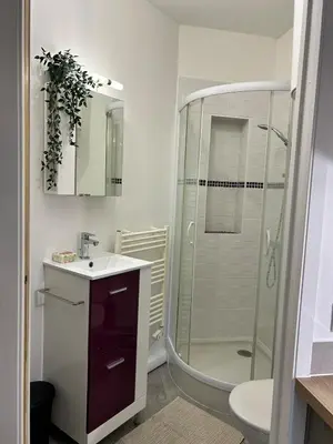 Salle de bains dans l'établissement Charmant appartement au Centre-ville de Dijon