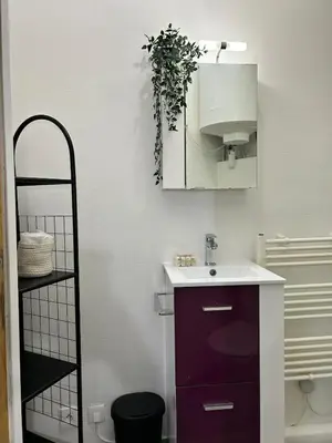 Salle de bains dans l'établissement Charmant appartement au Centre-ville de Dijon