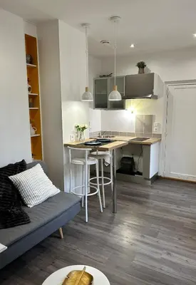 Cuisine ou kitchenette dans l'établissement Charmant appartement au Centre-ville de Dijon