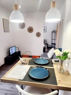 Télévision ou salle de divertissement dans l'établissement Charmant appartement au Centre-ville de Dijon