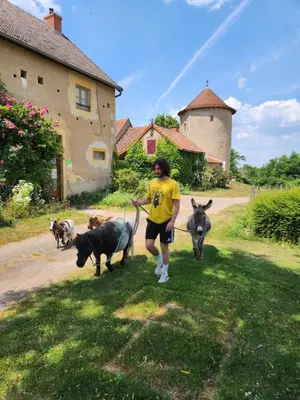 Animal ou animaux domestique(s) séjournant avec des clients dans l'établissement la tour de garde