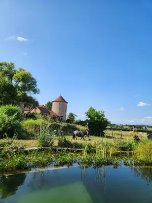 Paysage naturel près de la maison de vacances