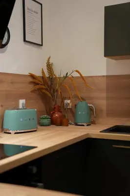 Cuisine ou kitchenette dans l'établissement Dijon Hypercentre - Loge Des Ducs