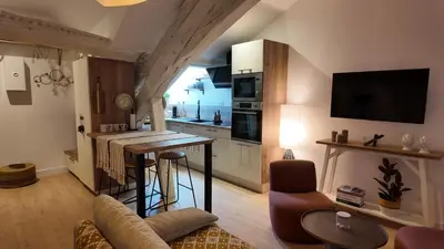 Cuisine ou kitchenette dans l'établissement Dijon Hypercentre - Loge Pompon