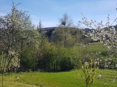 Paysage naturel près de la maison de vacances