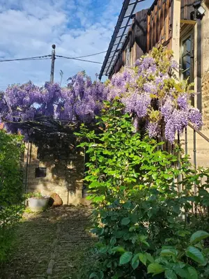 Jardin de l'établissement La Maison du Bonheur