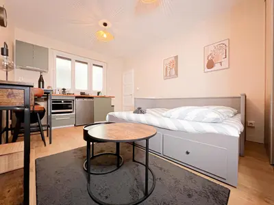 Cuisine ou kitchenette dans l'établissement Le pédestre - Appartement cosy hyper centre-ville de DIJON