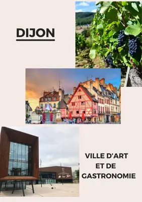 Plan de l'établissement Maison calme avec terrasse-garage centre ville D