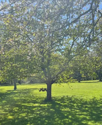 Jardin de l'établissement Chambre d'hôtes de l'Angeline