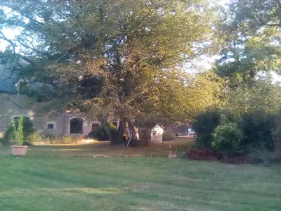 Jardin de l'établissement Le morvan de serge