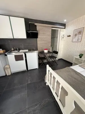 Cuisine ou kitchenette dans l'établissement Joli studio au Rez de chaussée