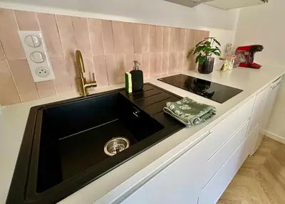 Cuisine ou kitchenette dans l'établissement La reine du faubourg