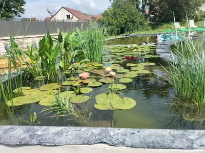 Jardin de l'établissement La petite favière