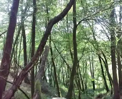 Paysage naturel près de la maison de vacances