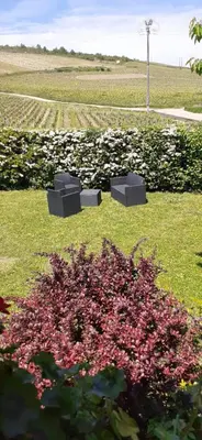 Jardin de l'établissement L'Orée de Nuits Maison avec jardin au pied des vignes