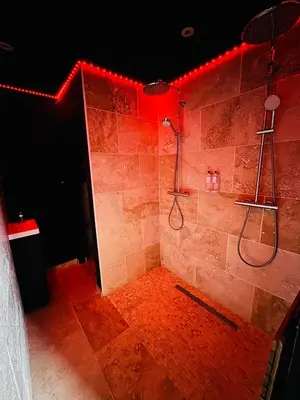 Salle de bains dans l'établissement Cinema room 3 min de Beaune