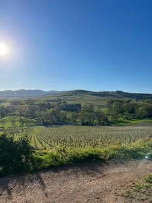 Paysage naturel près de l'appartement