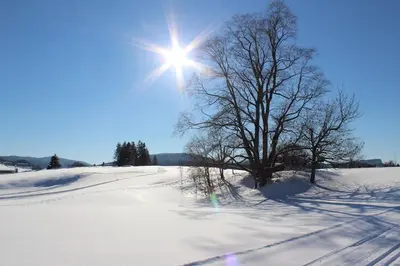 L'établissement Gîte du Myocastor en hiver