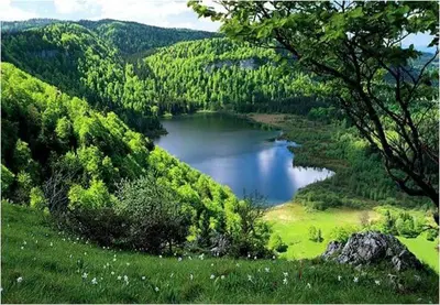 Paysage naturel près de la maison de vacances