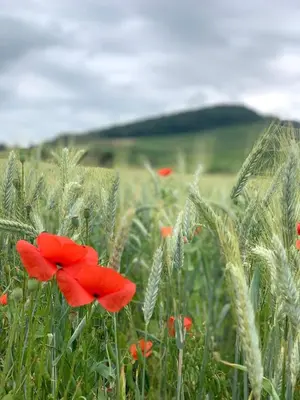 Paysage naturel près de la maison de vacances