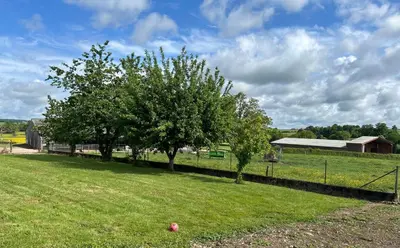 Jardin de l'établissement Maison de campagne rénovée