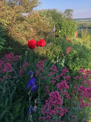 Jardin de l'établissement Tivauche