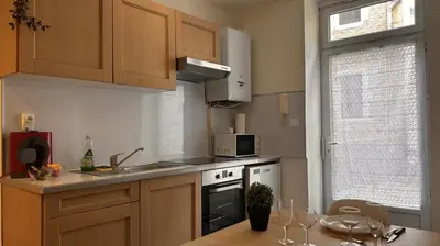 Cuisine ou kitchenette dans l'établissement Le St Antoine Central - Gare