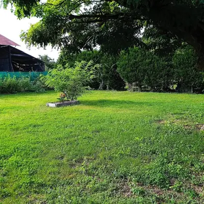Jardin de l'établissement Le jardin caché, maison indépendante classée 3 étoiles