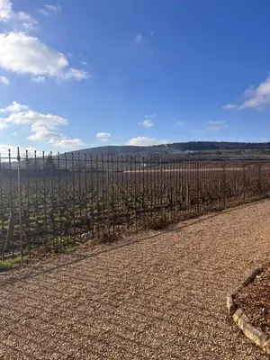 Paysage naturel près de la villa