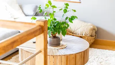 Coin salon dans l'établissement L'Écrin d'Ernest - Maison avec Charme- Extérieur