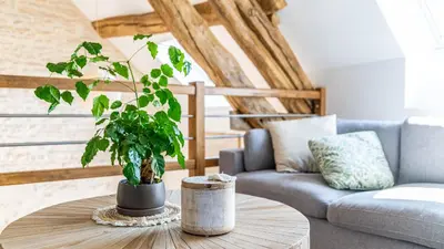 Coin salon dans l'établissement L'Écrin d'Ernest - Maison avec Charme- Extérieur