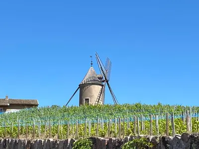Plan de l'établissement Au clos des sens