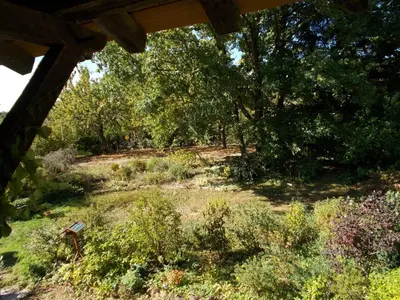 Jardin de l'établissement La Cassinette