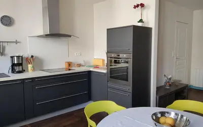Cuisine ou kitchenette dans l'établissement Appartement Buffon