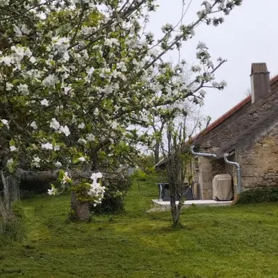 Jardin de l'établissement Gîte de la tuilerie
