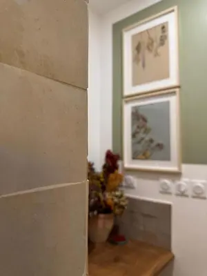 Plan de l'établissement Mini loft Spa - Cosy