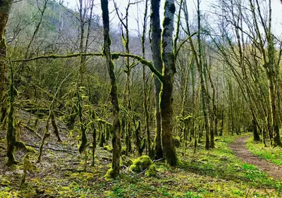 Paysage naturel près de l'appartement