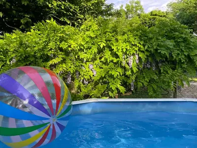 Piscine de l'établissement Gîte Camping les Arbois ou située à proximité