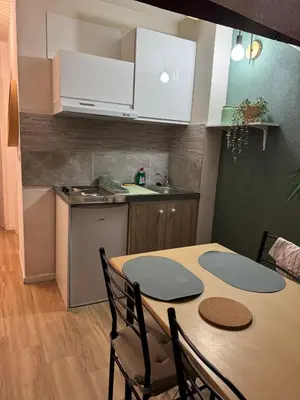 Cuisine ou kitchenette dans l'établissement Appartement Dijon-centre quartier Montchapet