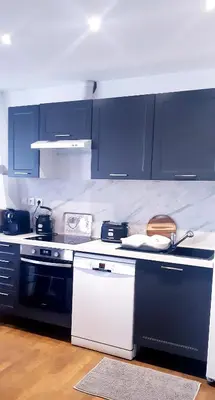 Cuisine ou kitchenette dans l'établissement Grand studio spacieux