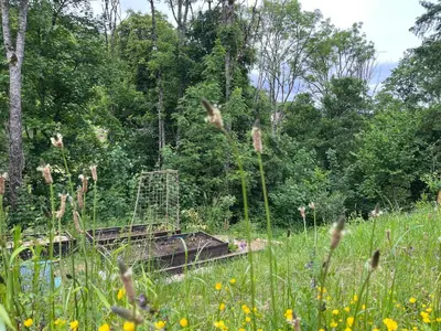 Jardin de l'établissement Chambre cosy en pleine nature, proche de Dijon