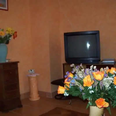 les hortensias