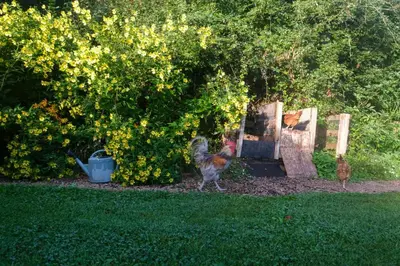 Jardin de l'établissement Maison Le Garochet