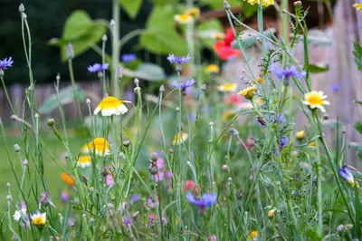 Jardin de l'établissement Maison Le Garochet