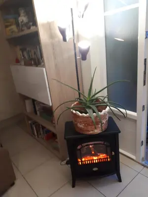 Bibliothèque dans la villa
