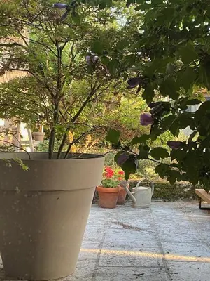 Jardin de l'établissement Maison Revenu