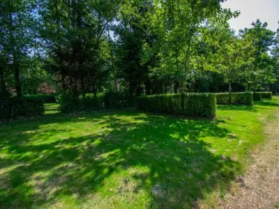 Jardin de l'établissement Maison Ferdinand