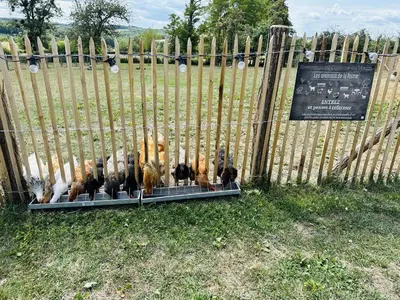 Jardin de l'établissement La Cabane SPA