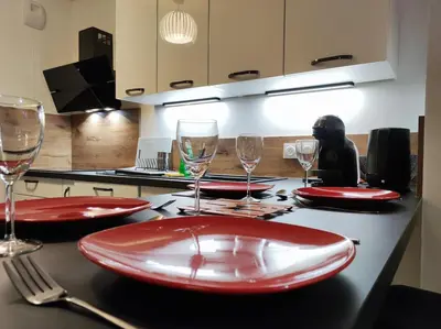 Cuisine ou kitchenette dans l'établissement L'AuthentiCité, jardin et parking au centre-ville
