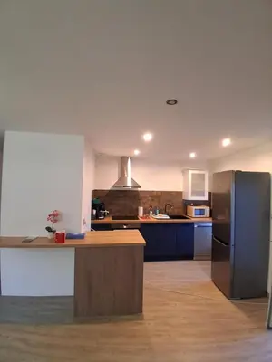Cuisine ou kitchenette dans l'établissement Les roches voisines 